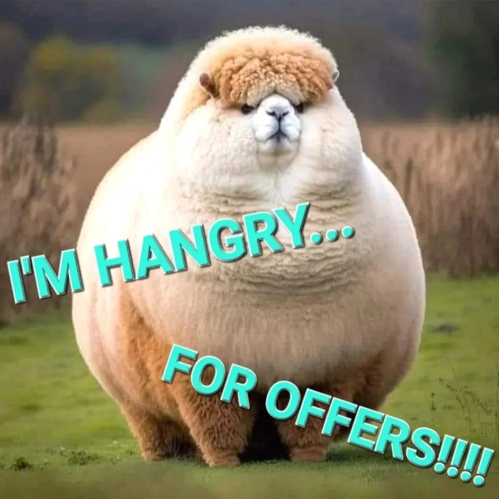 SEND OFFERS!!